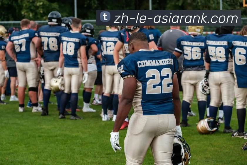 亚洲博彩官网平台生态图